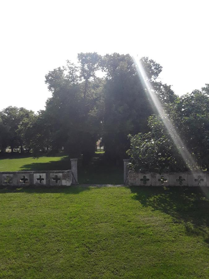 Bertric-Burée Le Moulin A Vent Bed & Breakfast エクステリア 写真